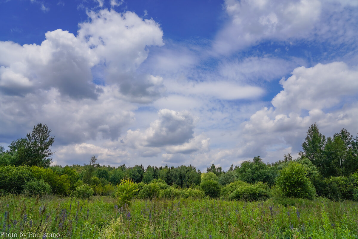 В поле... - Владимир Жданов
