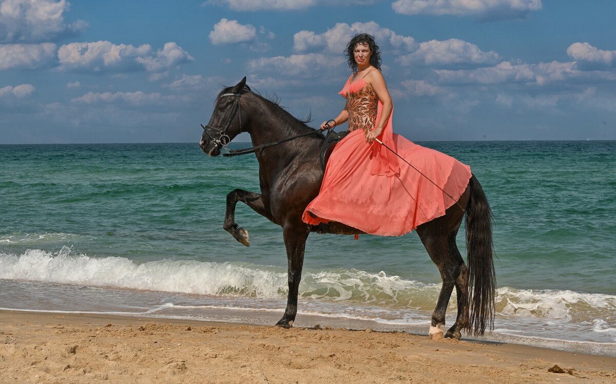 Грация в галлопе - Valentin Bondarenko Грация в галлопе - Valentin Bondarenko