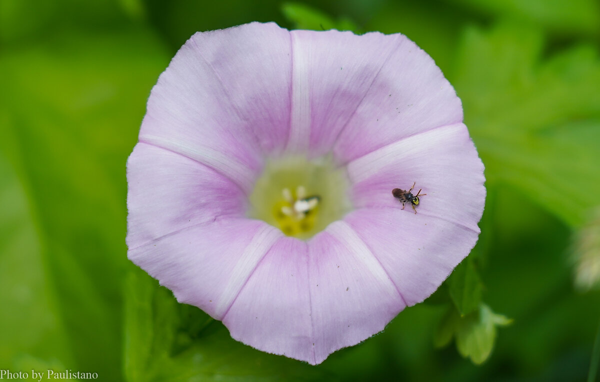 На краю... - Владимир Жданов На краю... - Владимир Жданов