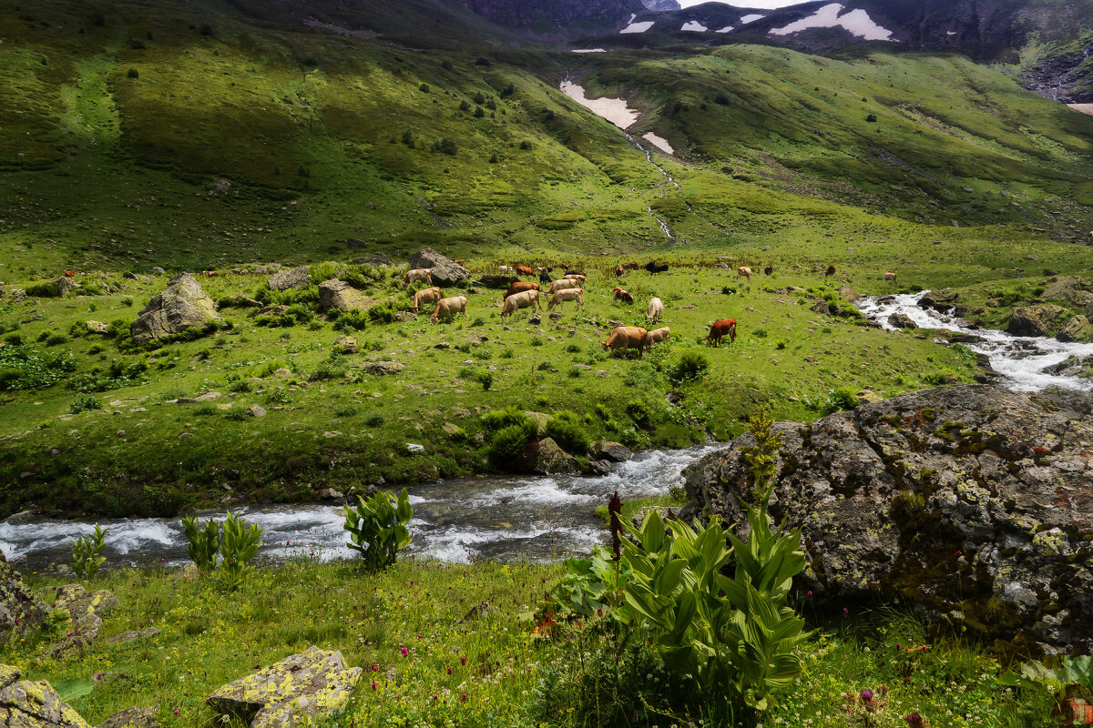 *** - Сергей Лысенко