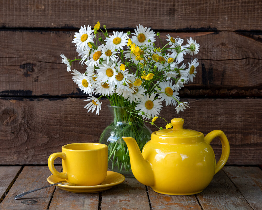 Ромашковый натюрморт - Алексей Чигвинцев