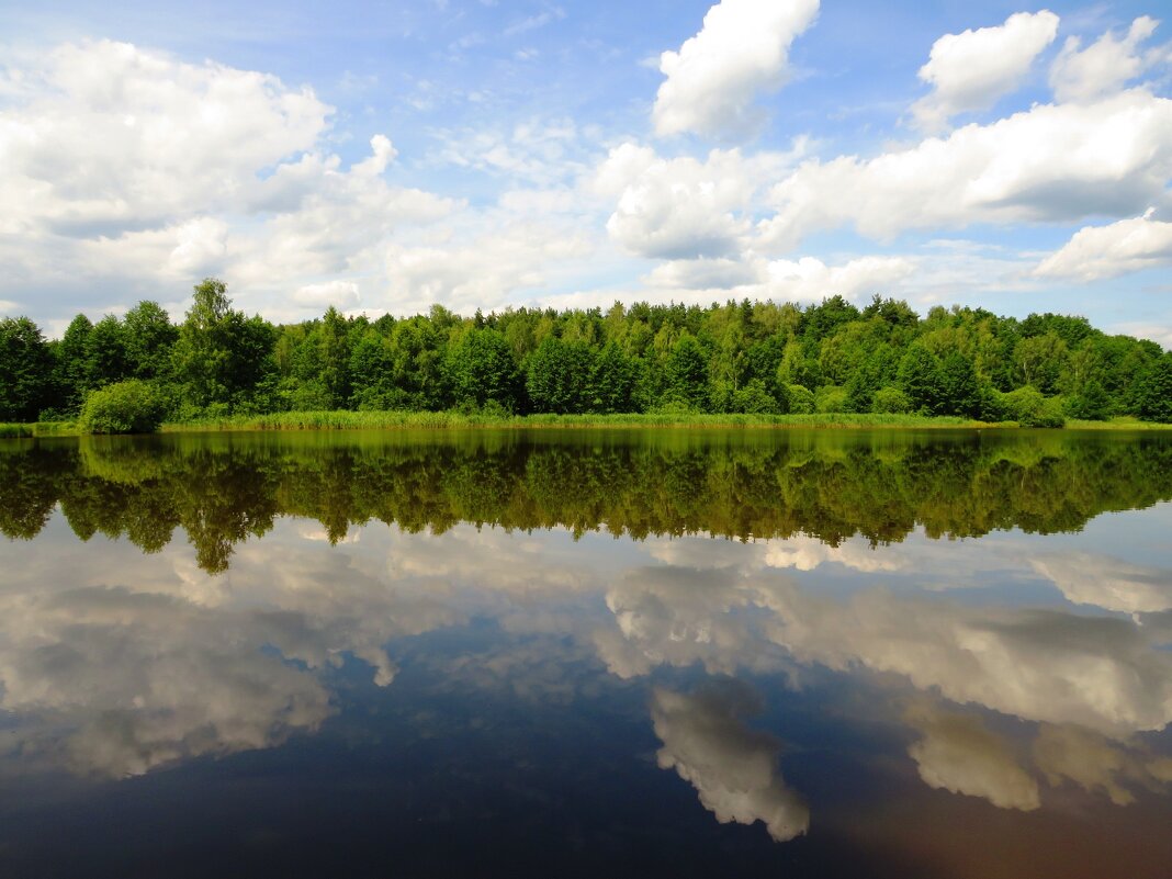 Отражение облаков - Андрей Снегерёв