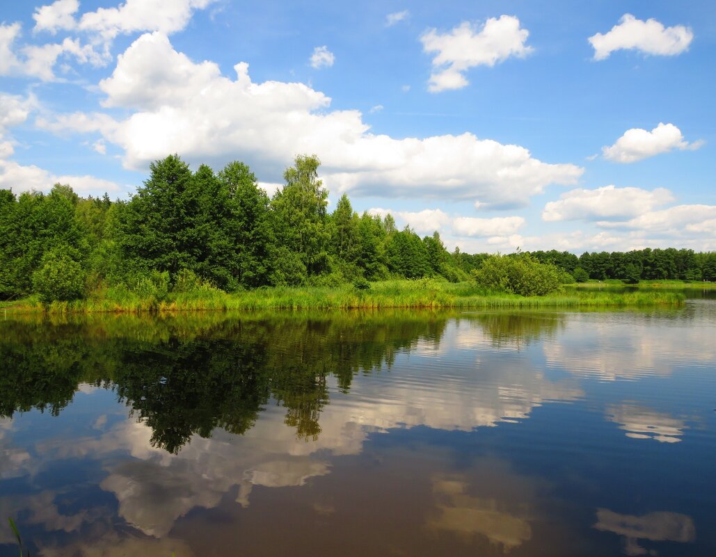 Симметрия воды и неба - Андрей Снегерёв
