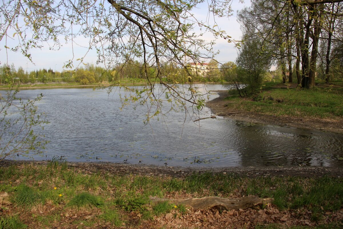 Стрельна. Орловский парк - Наталья Герасимова Стрельна. Орловский парк - Наталья Герасимова