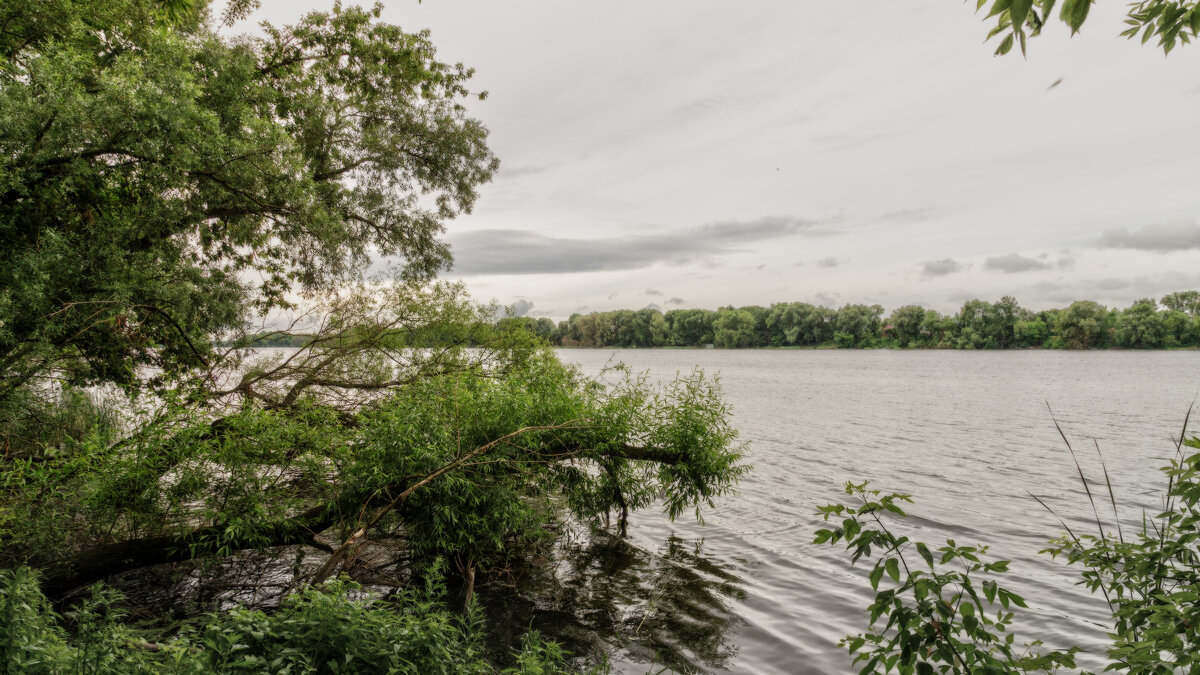 Берега - sorovey Sol