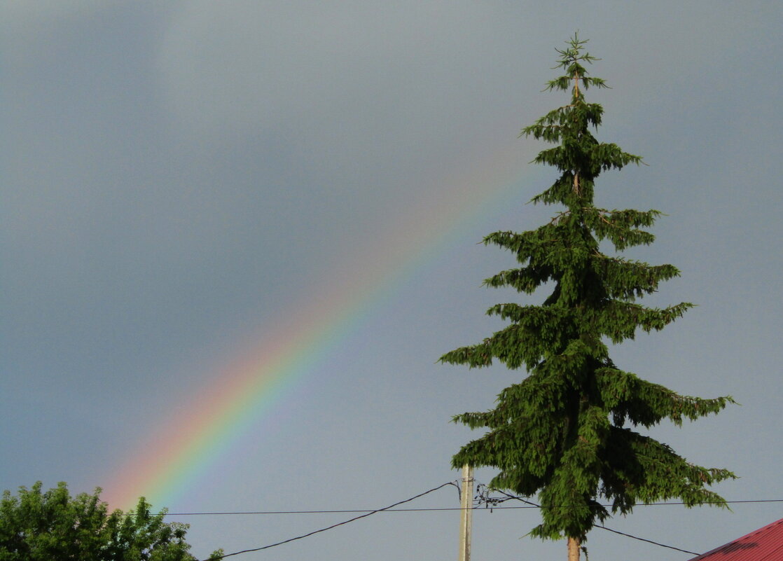 Встреча в вышине... - Антонина Балабанова