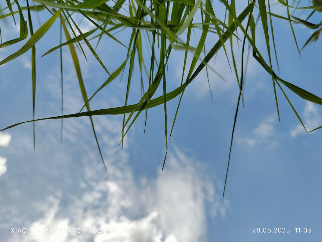 Верх - Ильдар Аббясов