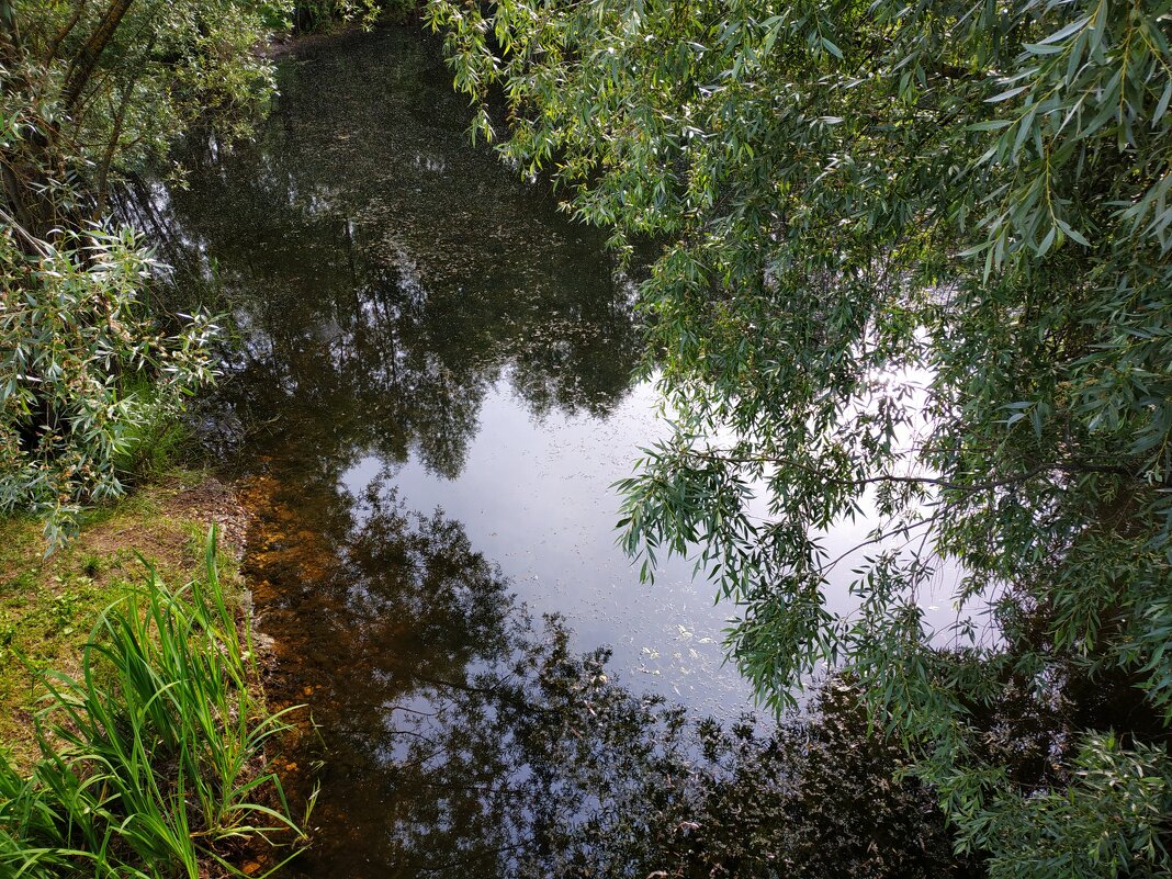 * * * - Андрей Лукьянов