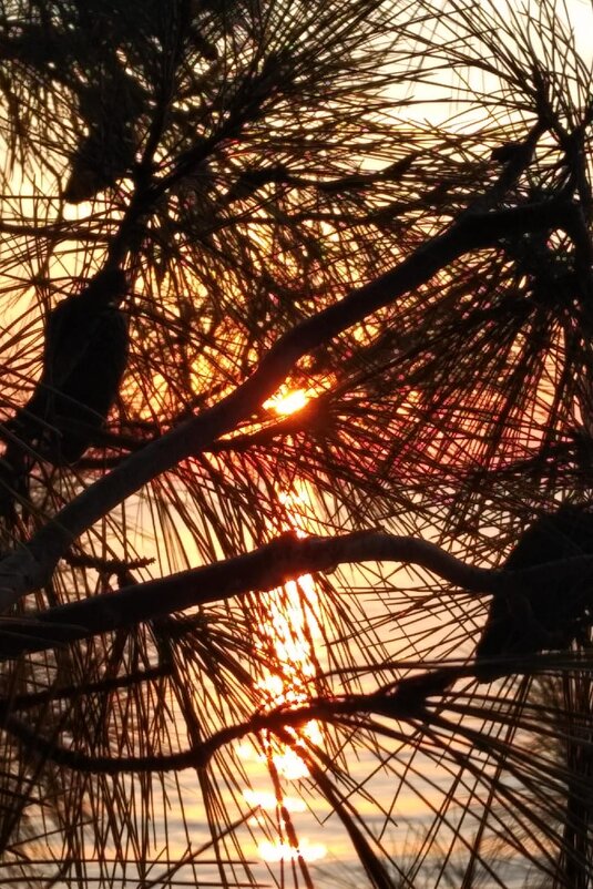 Просто красиво - Натали 