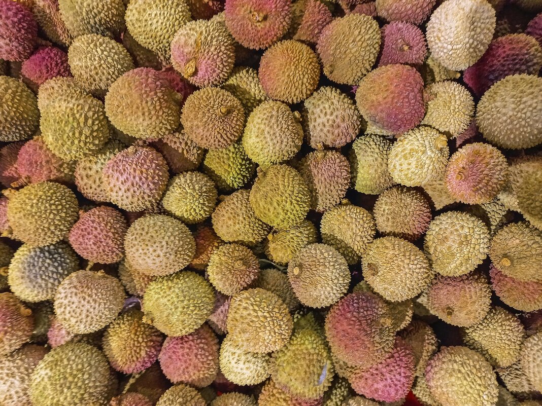 Экзотический фрукт - Валерий Иванович