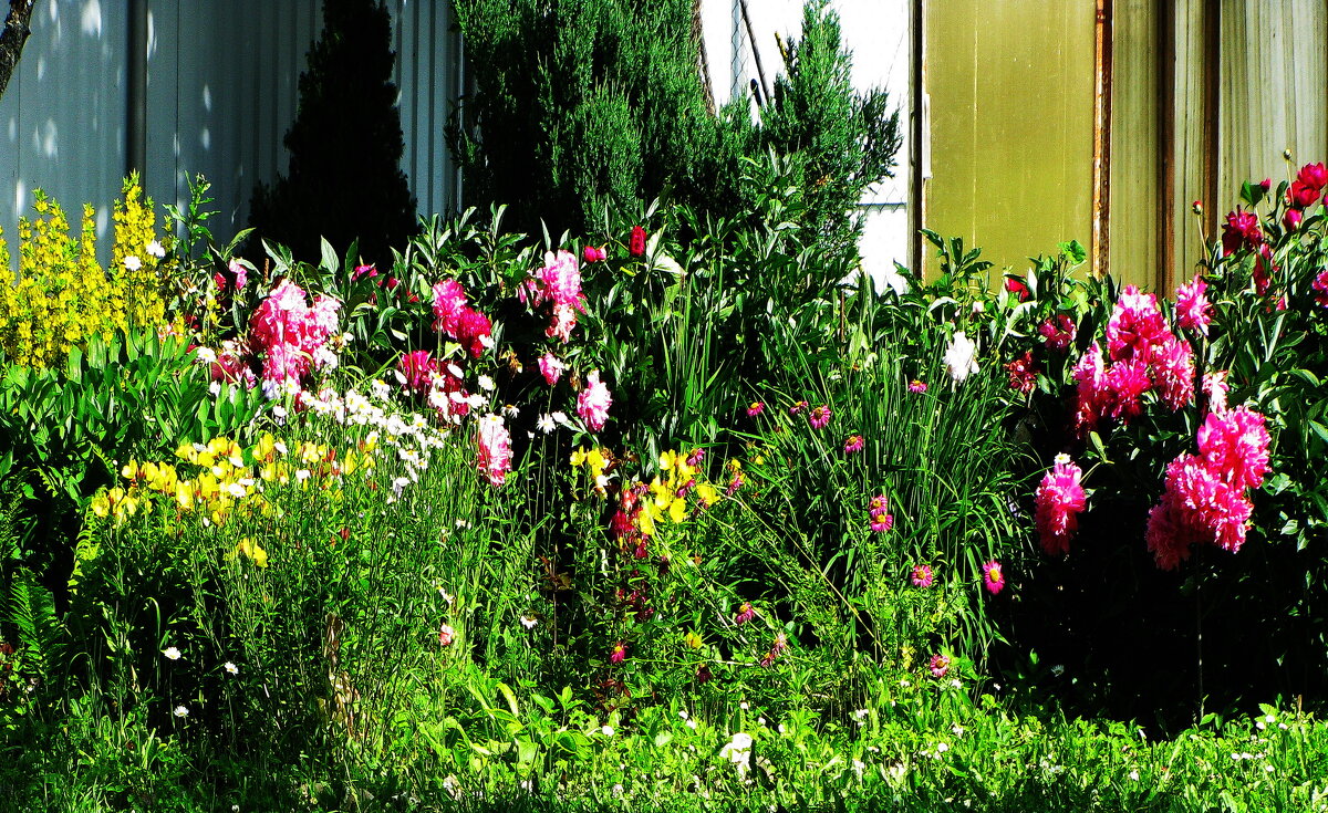 В саду - Людмила Смородинская В саду - Людмила Смородинская