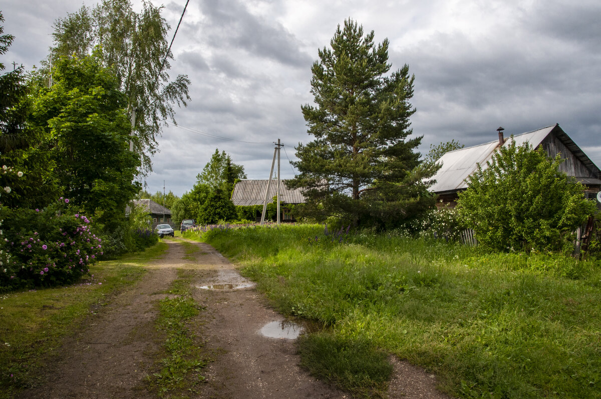 Вот моя деревня..... - Gen 