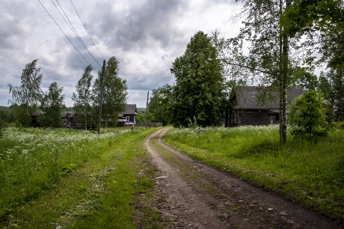 Вот моя деревня..... - Gen 