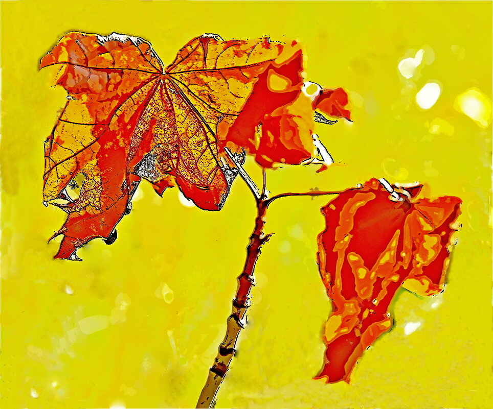 ЭТЮД - Юрий Владимирович 34