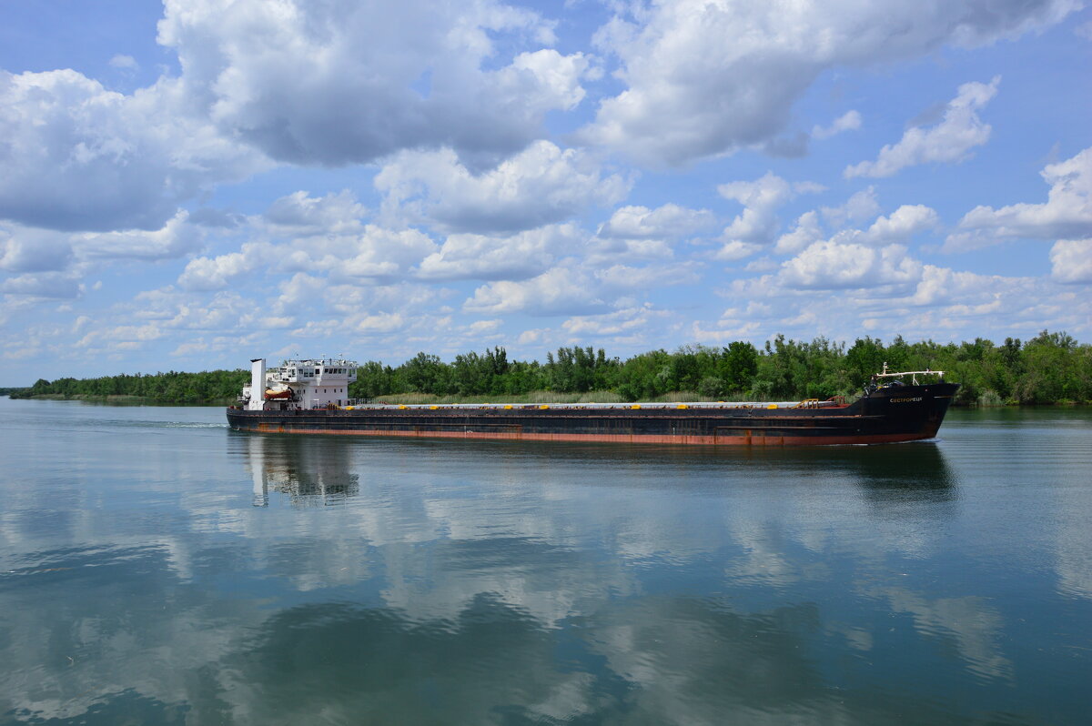 Дон трудяга. - Виктор 