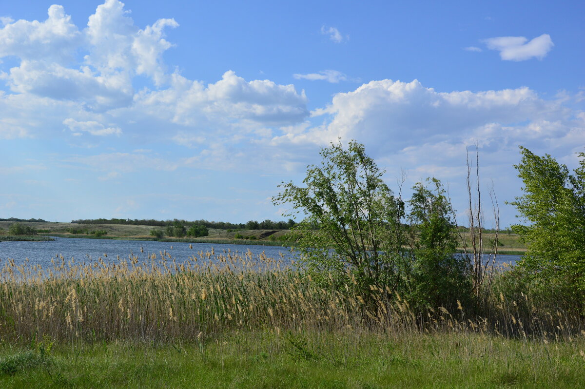 Донские зарисовки! - Виктор Донские зарисовки! - Виктор