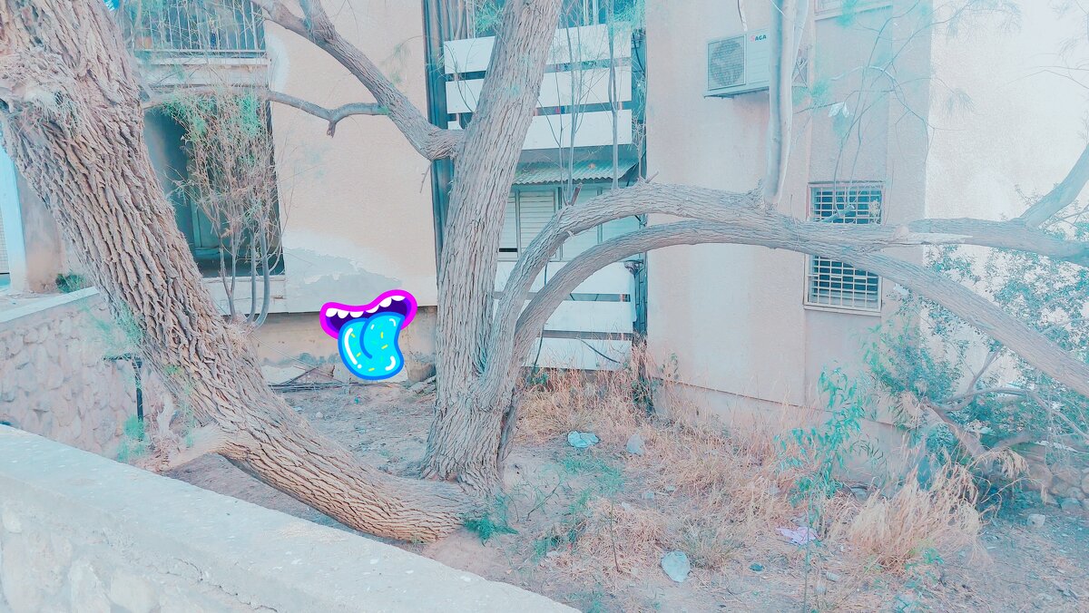 13  ОПЕН (208) - OPEN WAYS ALL