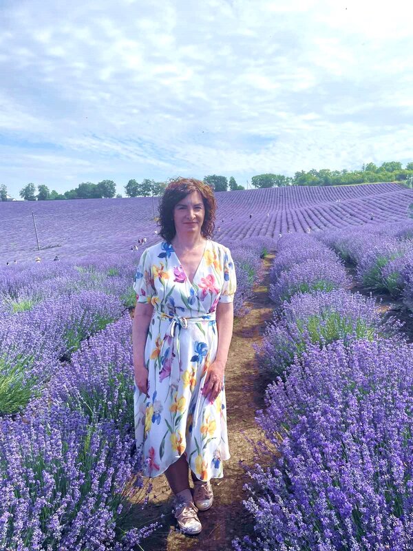 Наталя лавандове поле - Степан Карачко