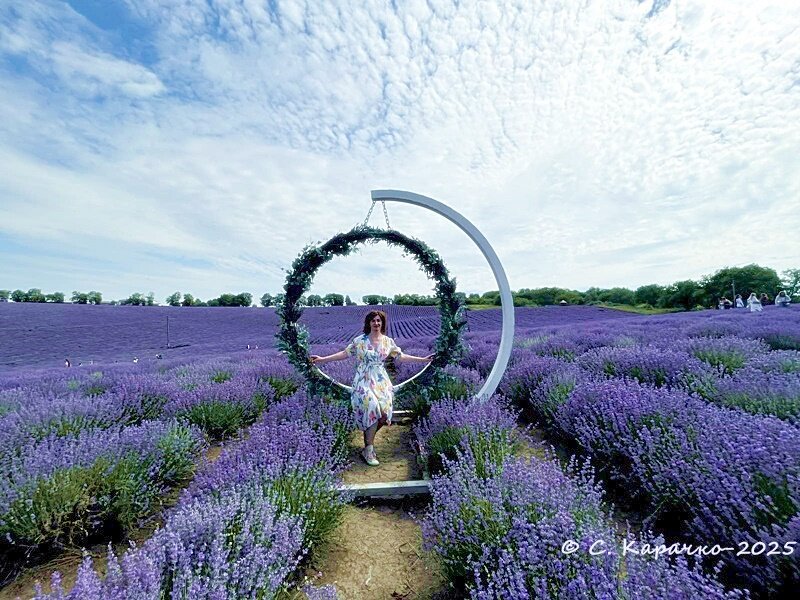На гойдалці. Лавнда - Степан Карачко