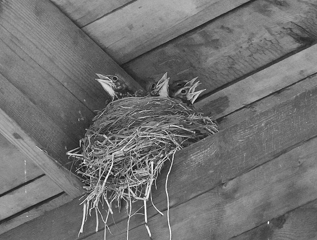 Когда все дома - Владилен Панченко