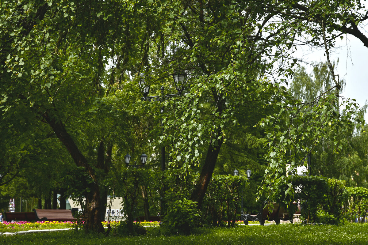 пейзаж - סּﮗRuslan HAIBIKE Sevastyanovסּﮗסּ