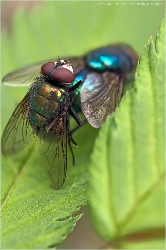 Средь бела дня - Анастасия Северюхина