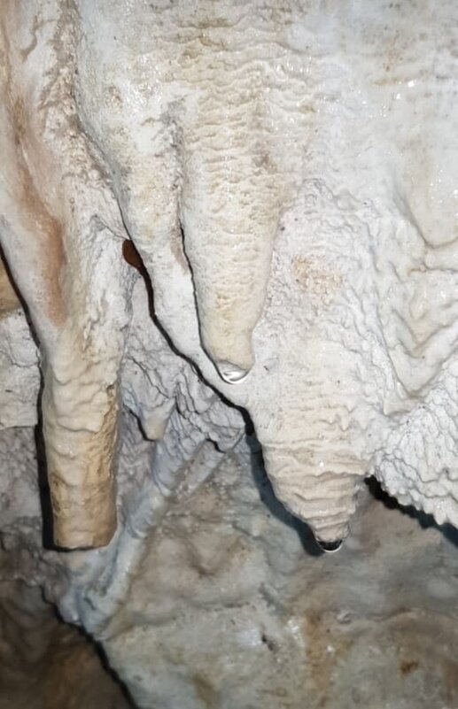 Пещера «НЕЖНАЯ» - Tata Wolf