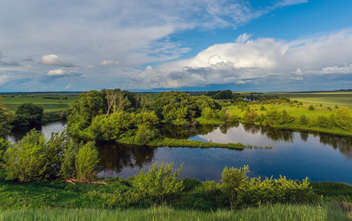 **** - Виталий Емельянов **** - Виталий Емельянов