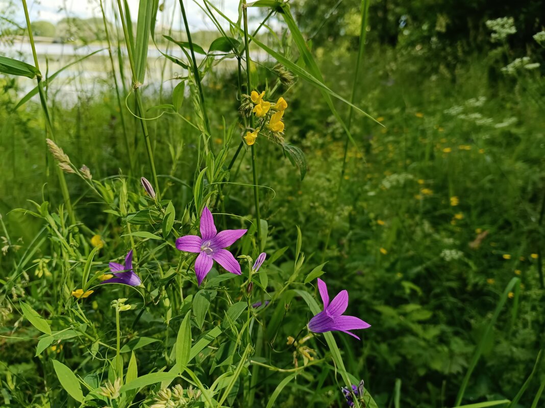 У реки... - Мария Васильева