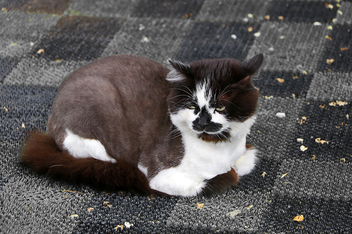 Охраняю ВкусВил - Светлана Охраняю ВкусВил - Светлана