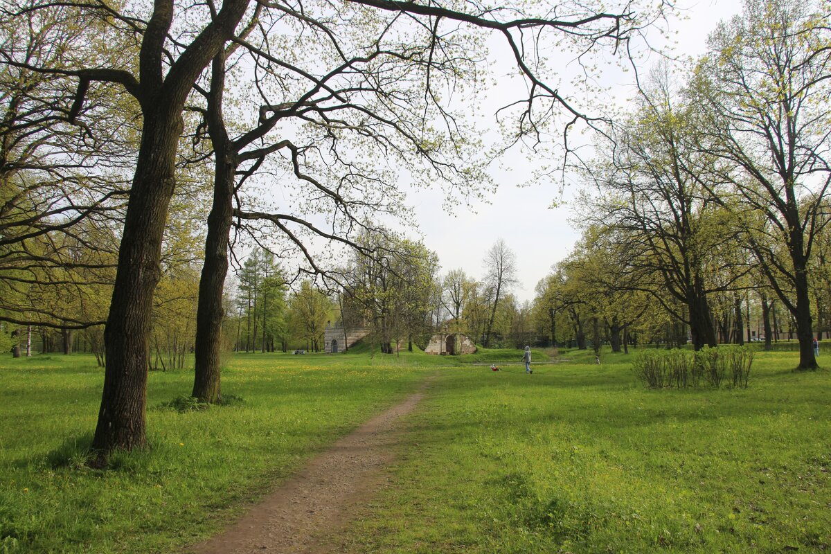 Орловский парк - Наталья Герасимова