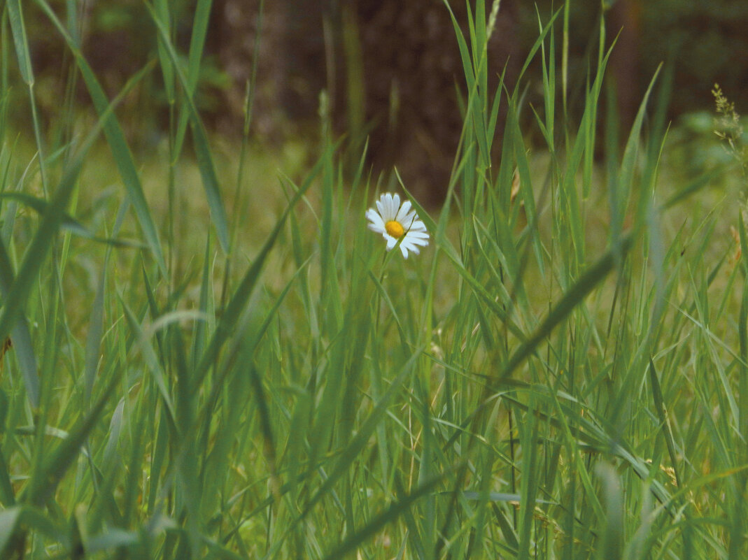 *** - Лера *** - Лера