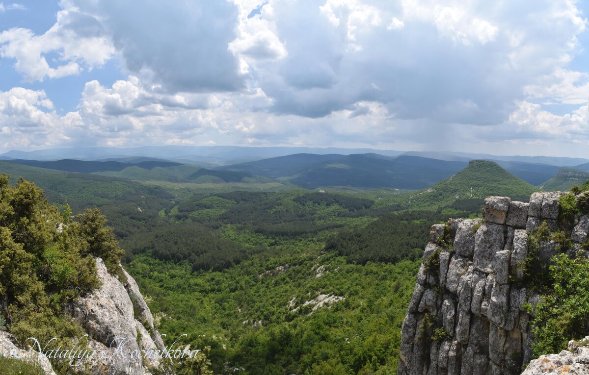 Природа Крыма - Amazing Cosmea