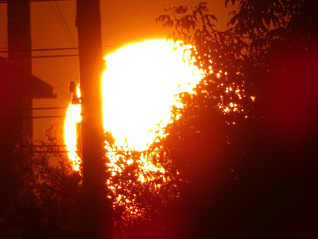 Солнце село в огород - Павел Трунцев