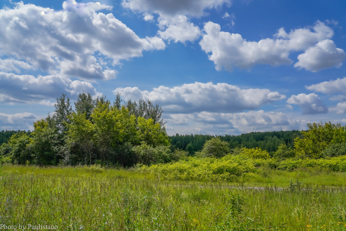 Конец июня... - Владимир Жданов