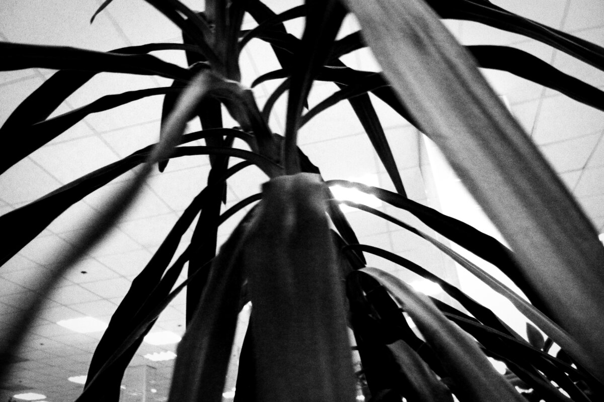 Назва. отсу. - Денис Безногов