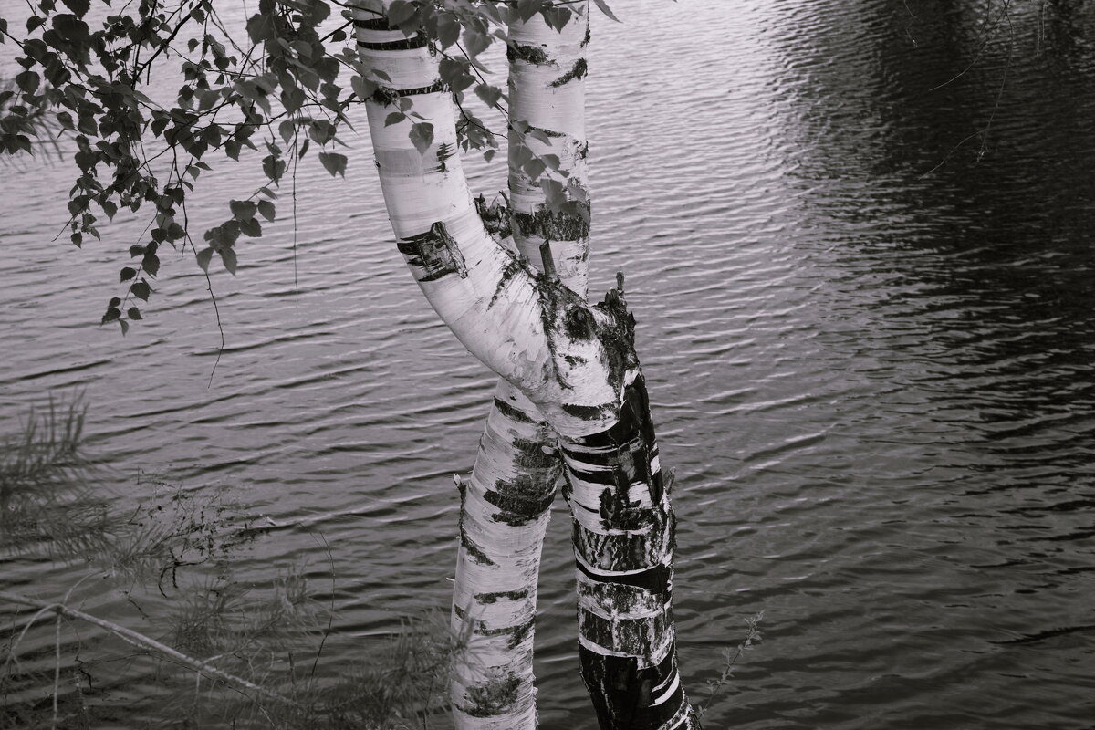 Назва. отсу. - Денис Безногов