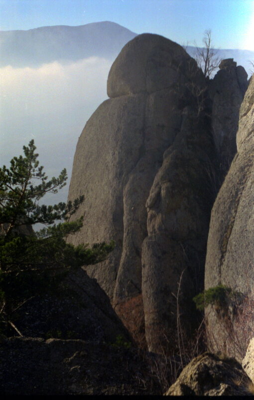 стражи - Всеволод 