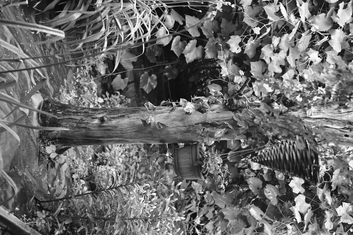 // - Константин Сафронов