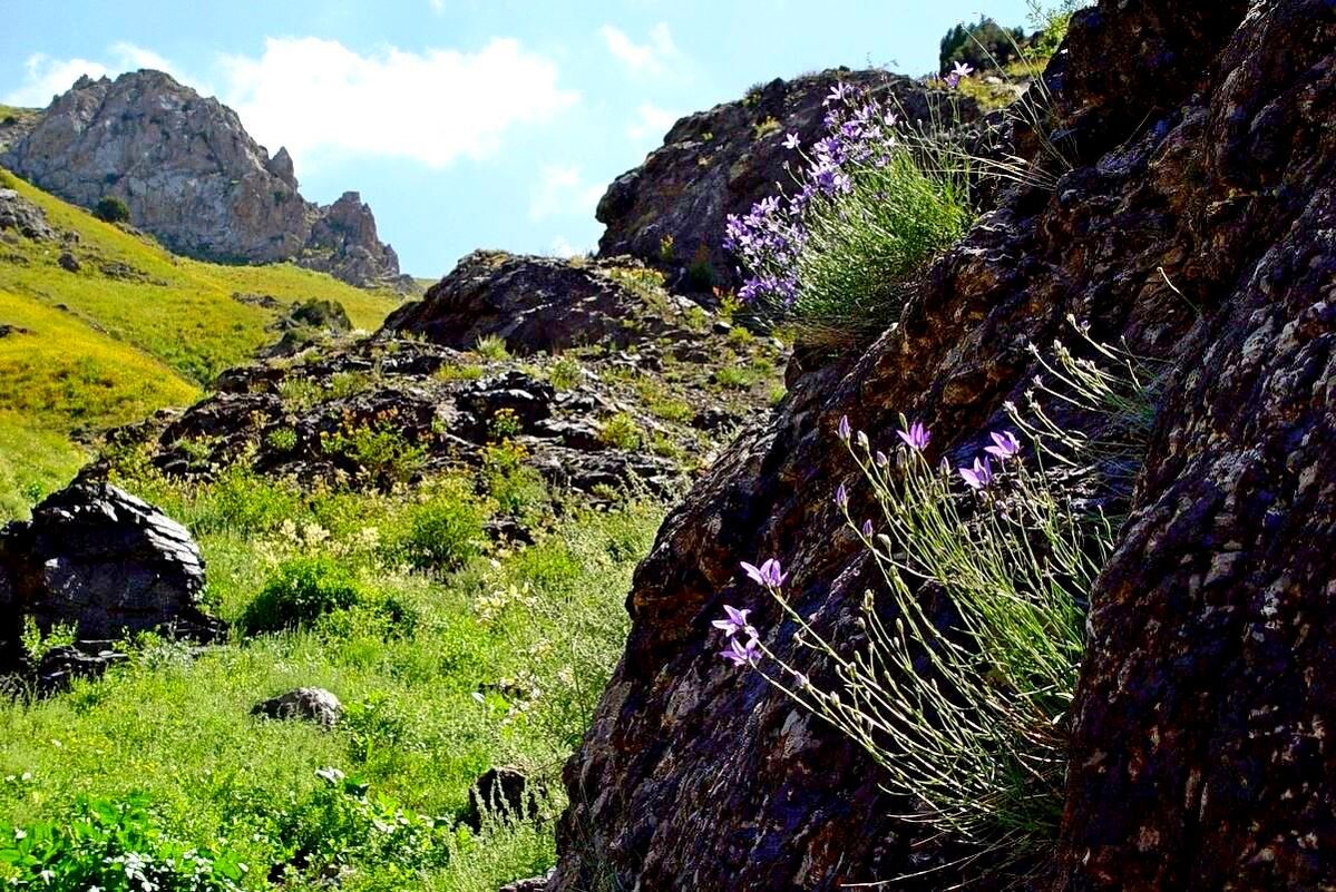 ПО ГОРАМ. - Виктор Осипчук