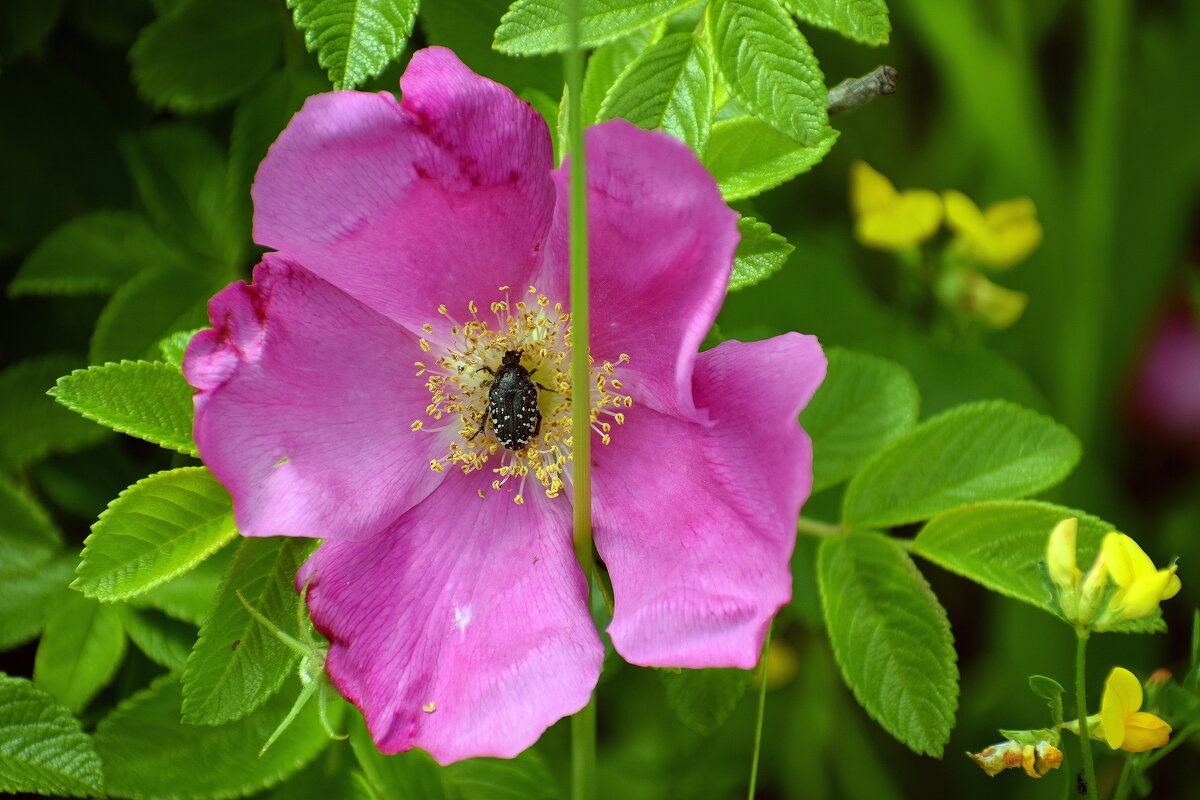 Кайф - Сергей П.