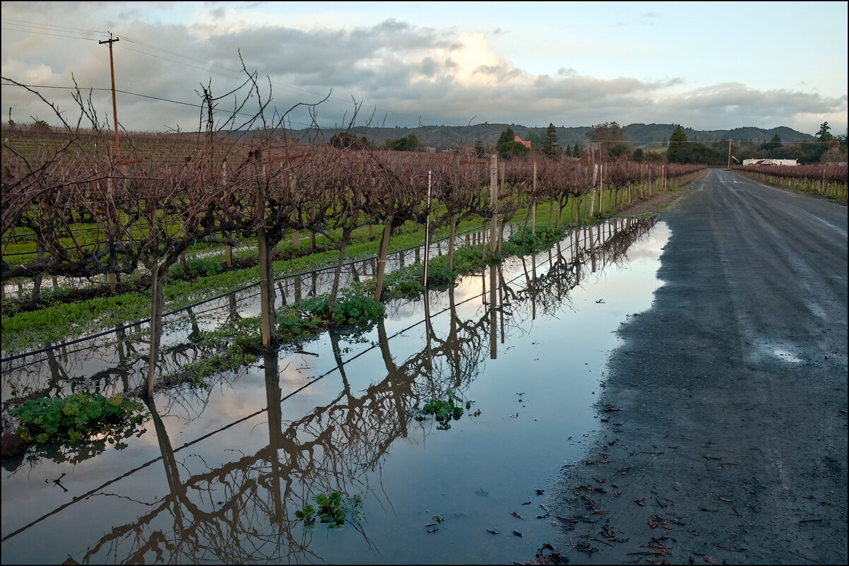 Перспектива - **** vedin