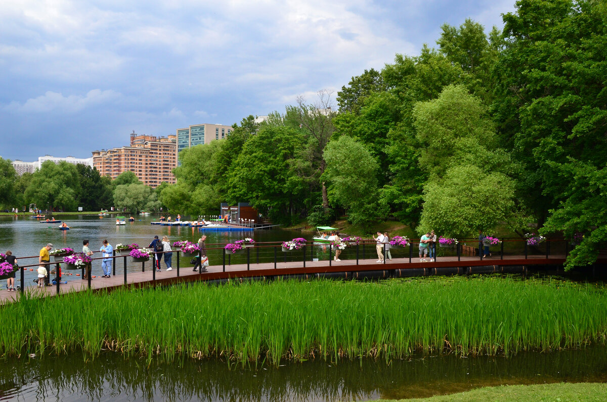 Москва. Воронцовский парк. - Наташа *****