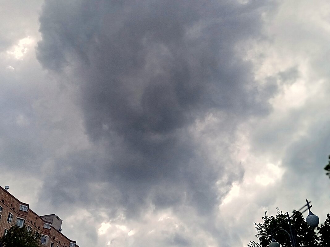 Июнь. Московское небо. - Владимир Драгунский