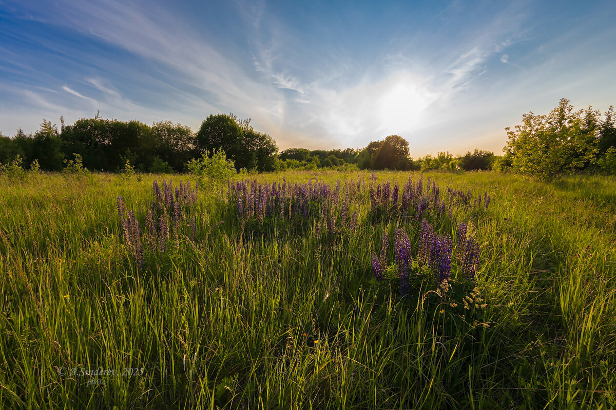 Летний закат - Александр Синдерёв