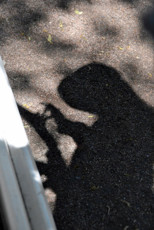 ДЕВОЧКА, СМАРТФОН, ДАЛЬНОБОЙНЫЙ ОБЪЕКТИВ - Юрий Вовк