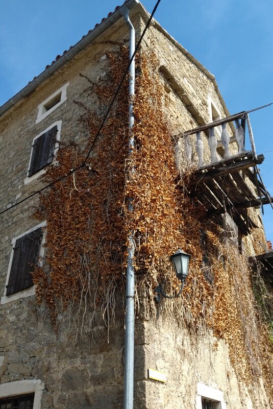 Дом - Натали 