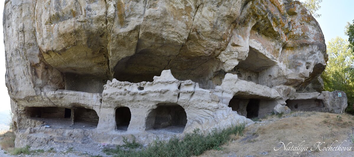 Природа Крыма - Amazing Cosmea Природа Крыма - Amazing Cosmea