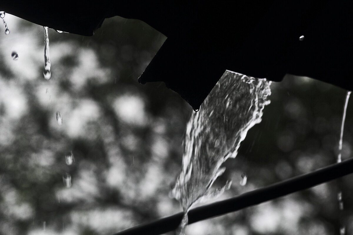 Дождь пошёл - Юрий Гайворонскiий