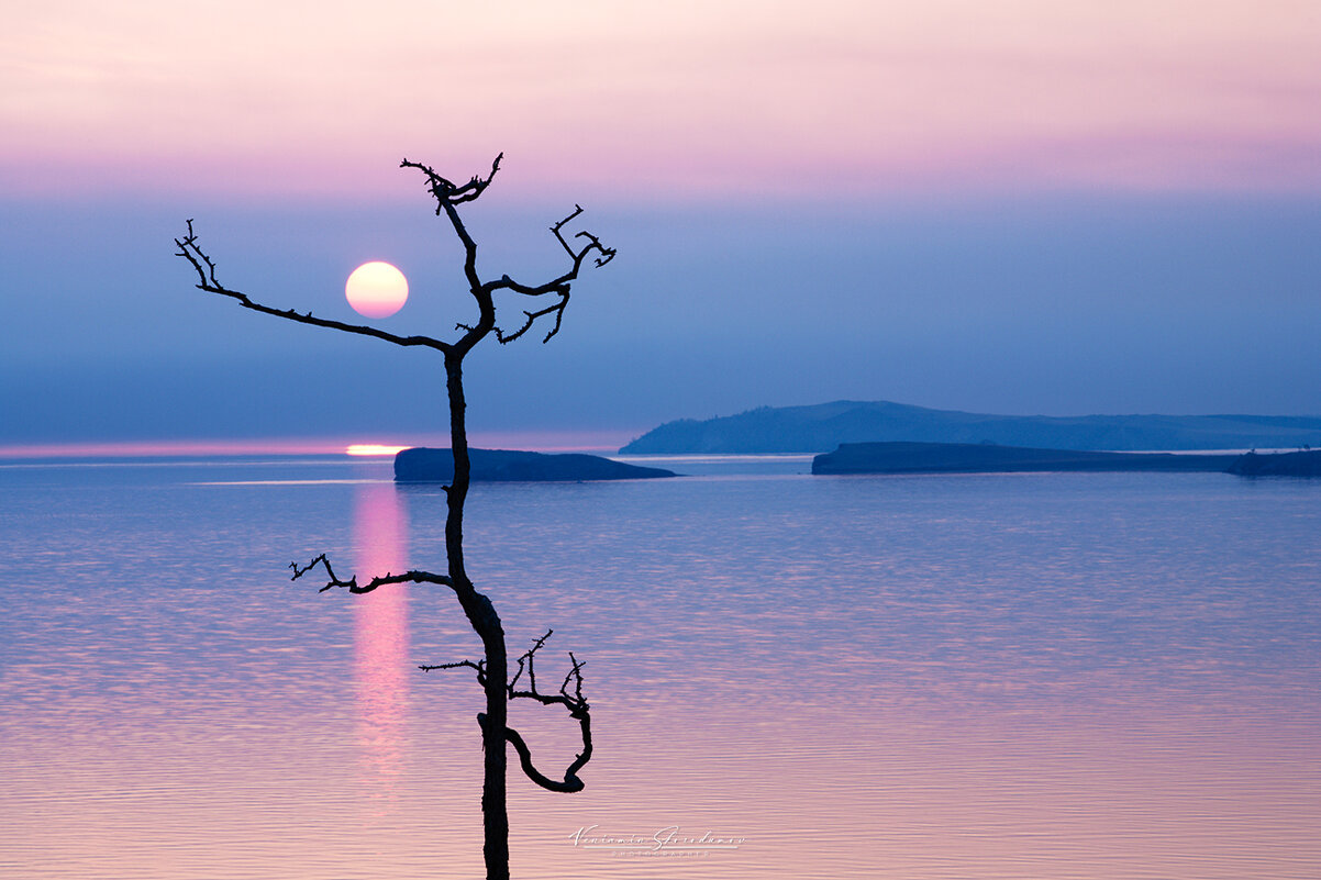 Дракон глотающий солнце - Вениамин Скородумов